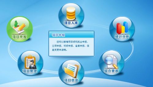 管理信息系统的实施,关键步骤与注意事项