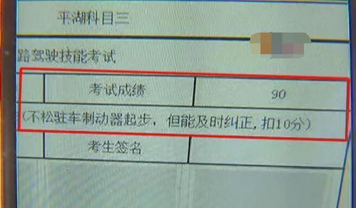 广东车管所系统故障,广东车管所系统故障引发关注，多措并举确保服务稳定