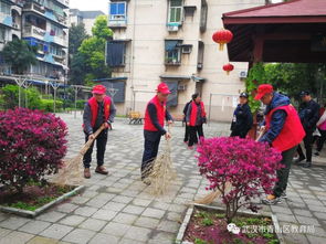 钢城系统,智能化转型下的钢铁产业新篇章