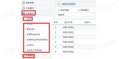 工商等级查询系统,全面解析工商等级查询系统——企业信息透明化的得力助手