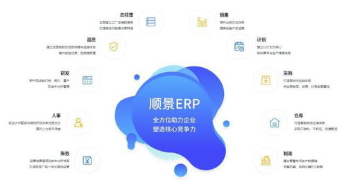erp系统运维,保障企业信息化稳定运行的基石
