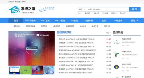 官网网站系统,搜索引擎优化指南