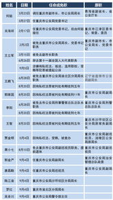 公安系统的职位,守护平安的坚实力量