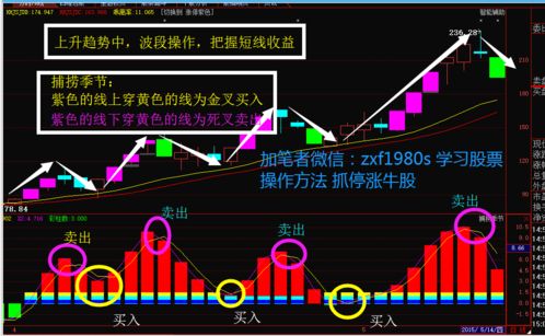 股票复盘系统,打造高效股票复盘系统，助力投资者精准决策