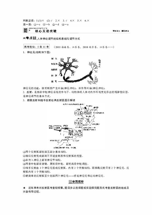 高考体检神经系统,高考体检神经系统的重要性