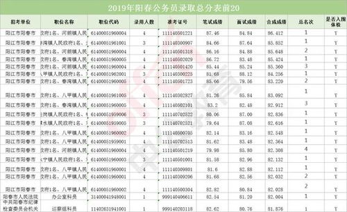 公务员系统类别,公务员系统类别详解