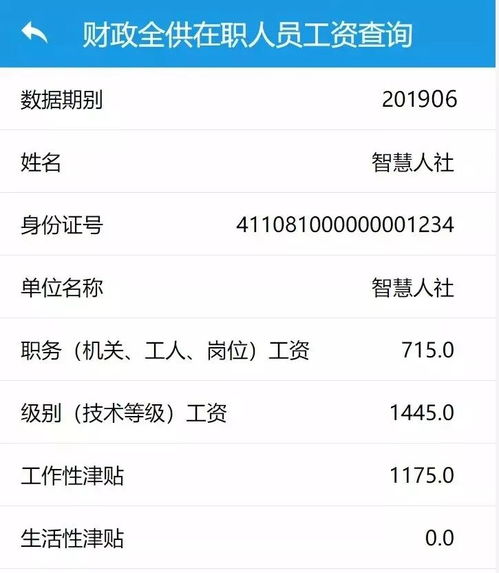 工资在线查询系统,提升企业人力资源管理效率的新工具