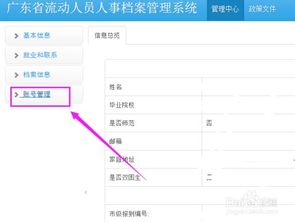 高校毕业生报到系统,自助报到系统助力新生便捷入学体验”