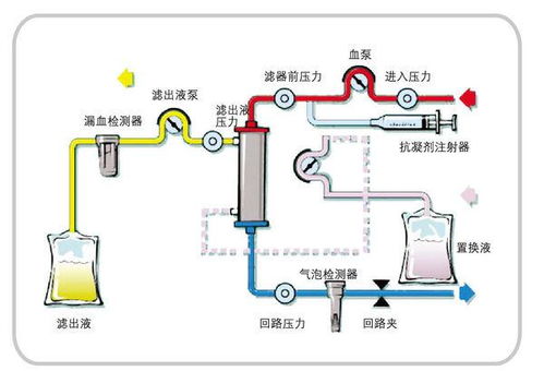 分离纯化系统,生物大分子高效纯化技术解析