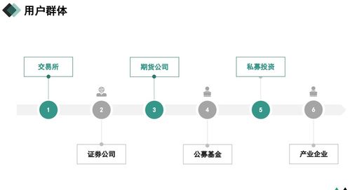 风控系统作用,企业风险管理的智能守护者