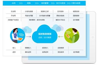 管理提升 系统,构建高效组织架构新篇章