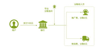 分账核算系统,高效财务管理新篇章