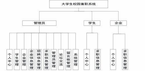 高校 管理信息系统,构建高效数字化校园的基石