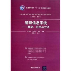 管理信息系统的理论基础,构建现代企业信息管理框架