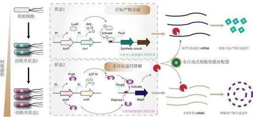 福报感应系统,揭秘因果循环的神秘力量