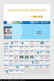 管理系统ppt,高效管理策略与实施要点