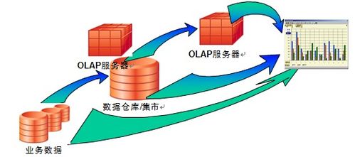 公安系统数据库,守护平安的数字防线