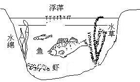 分析以下生态系统,河流生态系统健康与生态修复技术应用探讨