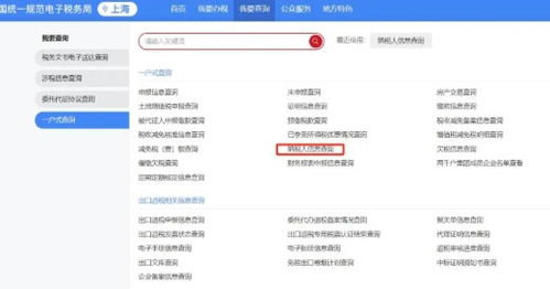 个所税查询系统,一站式查询系统助力企业高效合规