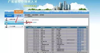 广东省专业技术人才职称管理系统,提升服务效能