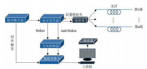 光系统2,揭秘光合作用的能量转换奥秘