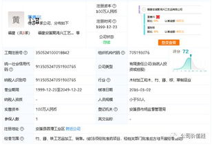 公司税务查询系统,厦门财税公司动态查询系统助力企业高效税务管理