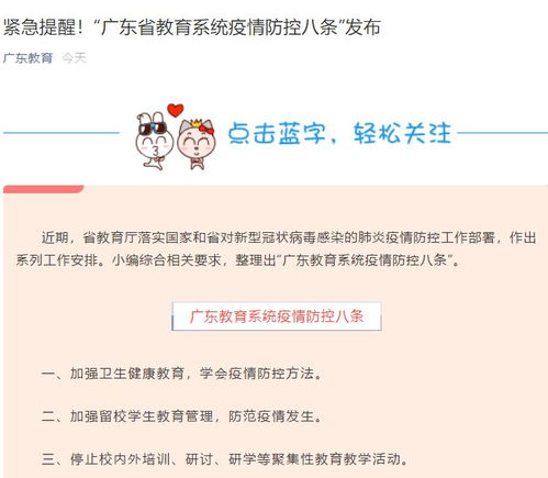 广东省教育系统,助力区域发展新格局