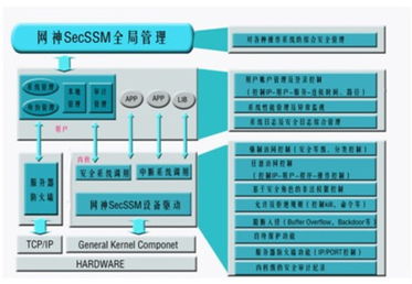 服务器安全加固系统,服务器安全加固系统策略与实施要点