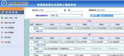 甘肃高考填报志愿系统,系统入口、流程解析与注意事项