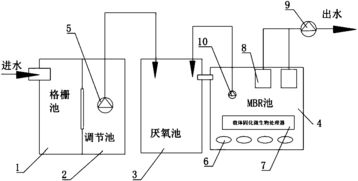 非活性系统,非活性系统向活性物质转变的探索与启示