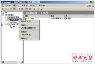 dfs文件系统,构建高效数据存储与管理的基石