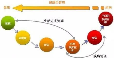 关于健康系统的,全面优化与可持续发展的策略与实践