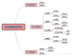 管理信息系统认识实验,理论与实践相结合的探索之旅