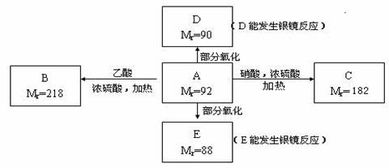 光合系统的光合测定,先进光合测定系统技术解析