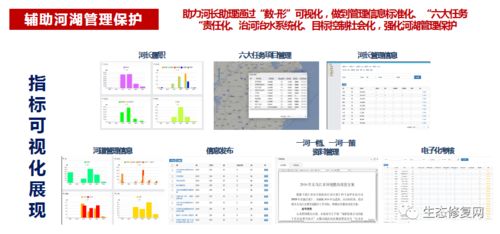 管理信息系统心得,理论与实践的融合与提升