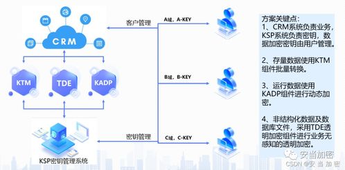 关键客户系统,构建企业核心竞争力新引擎