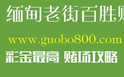 风控系统排名,科技赋能下的风险管理新格局