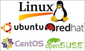 安卓系统与linux 区别,安卓与Linux系统差异全解析