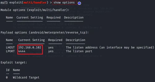安卓系统黑客操作流程,操作流程深度揭秘