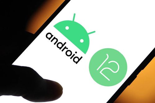 手机怎样适配安卓系统,基于不同手机型号与系统版本的安卓系统适配策略解析