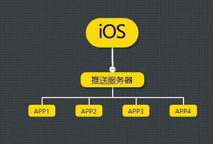 安卓系统和推送软件,探索高效便捷的推送软件应用