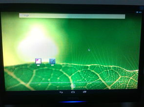 安卓电脑系统联网,Android系统联网技术解析与实现