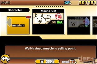 安卓系统怎么玩cats,Cats游戏攻略全解析