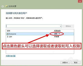 安卓文件共享系统设计,技术探索与实践应用