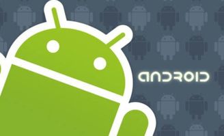 为什么系统叫做安卓,探寻Android命名背后的故事
