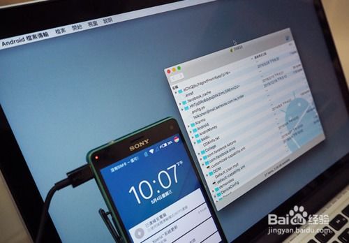 mac系统读取安卓手机,文件传输与数据同步指南