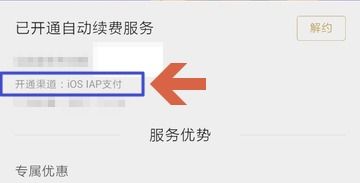 安卓系统怎样取消续费,安卓系统下轻松取消自动续费指南