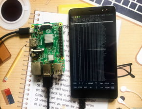 树莓派体验安卓系统,体验开源魅力与系统优化之道