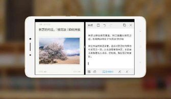 安卓系统如何实现分屏,操作方法与实用技巧