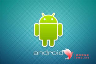 安卓系统缓存占用空间,安卓系统缓存占用空间之谜及高效清理策略